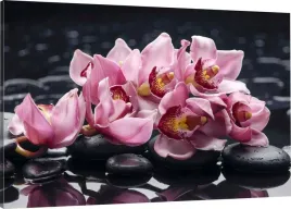obraz-na-plotnie-spa-kwiaty-zen-110x70-980-wzorow