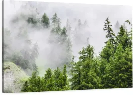 obraz-na-plotnie-las-natura-mgla-100cmwybor-wzorow