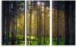 tryptyk-obraz-na-sciane-las-mech-natura-980-wzorow