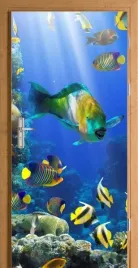 naklejka-folia-na-drzwi-okleina-akwarium-ryby