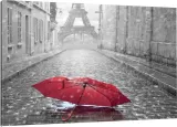 obraz-na-plotnie-eiffla-parasol-ulica-110x70