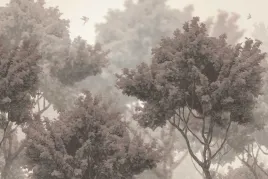 fototapeta-natura-drzewa-ptaki-sypialnia-salon-3d