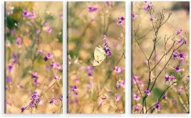 tryptyk-obraz-na-sciane-natura-motyl-980-wzorow