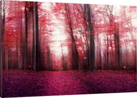 obraz-na-plotnie-do-sypialni-rozowy-las-120x80