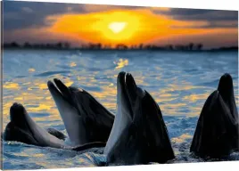 obraz-na-plotnie-delfiny-delfin-70x50-wybor