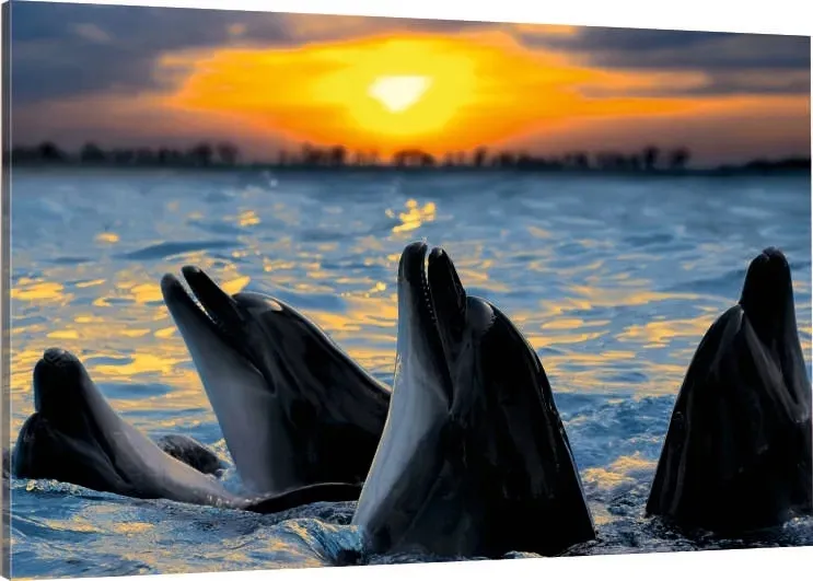 obraz-na-plotnie-delfiny-delfin-70x50-wybor