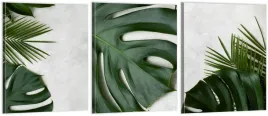 tryptyk-obrazy-180x80-na-sciane-lisc-monstera
