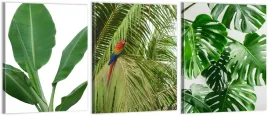 tryptyk-obrazy-180x80-monstera-natura-skomponujsam
