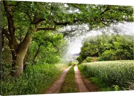 obraz-na-plotnie-natura-droga-zielen-110x70-980-wz