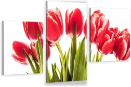 tryptyki-obraz-na-sciane-czerwone-tulipany-800-wz
