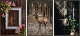 zestaw-plakatow-ramki-3x-33x43-jelen-styl-rustyk