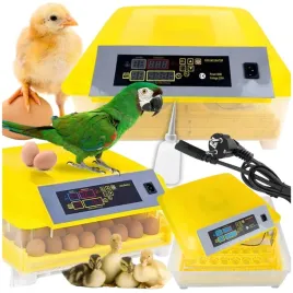 inkubator-wylegarka-48-jajek-klujnik-automatyczny-do-wylegu-drobiu-hodowla