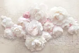 fototapeta-peonie-piwonie-kwiaty-sypialnia-salon
