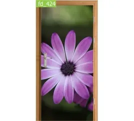fototapeta-naklejka-na-drzwi-kwiat-laka-fiolet