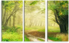 tryptyk-obraz-na-sciane-drozka-las-natura-980-wz