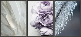 zestaw-plakatow-ramki-3x-33x43-kwiaty-piwonia