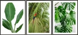 zestaw-plakatow-ramki-3x-33x43-monstera-natura