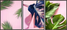 zestaw-plakatow-postery-3x-30x40-lisc-monstera-roz