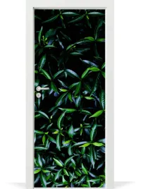 folia-fototapeta-na-drzwi-tropikalne-liscie-natura