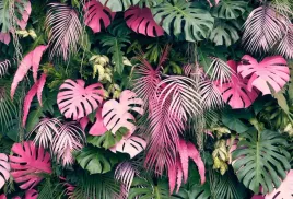 fototapety-monstera-kwiaty-liscie-palmy-200x133