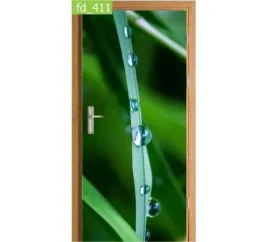 fototapeta-naklejka-na-drzwi-trawa-krople-natura