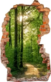 naklejki-na-sciane-fototapeta-dziura-758-las