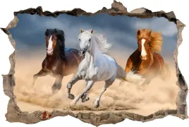 fototapeta-dziura-3d-naklejka-scienna-konie-galop