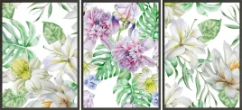 zestaw-plakatow-postery-3x-30x40-monstera-kwiaty