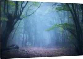 obraz-na-plotnie-las-mgla-zmrok-110x70-980-wzorow
