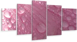 tryptyk-5-czesci-na-sciane-rosa-platek-980-wzorow