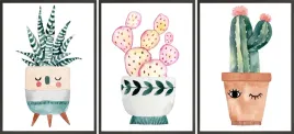 postery-ramki-3x-33x43-kaktus-kwiaty-aloes