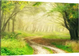 obraz-na-plotnie-drozka-las-natura-110x70-980-wz
