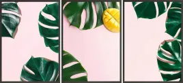 zestaw-plakatow-postery-3x-30x40-lisc-monstera-roz