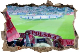 fototapeta-dziura-3d-naklejka-na-sciane-stadion
