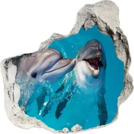 naklejki-na-sciane-scienne-3d-dziura-delfin-212