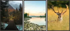 zestaw-plakatow-postery-3x-30x40-las-jelen-jezioro