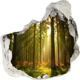 naklejki-na-sciane-scienne-3d-dziura-las-30