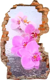 naklejki-na-sciane-fototapeta-3d-dziura-650-kwiaty