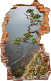 naklejki-na-sciane-fototapeta-dziura-544-las