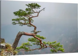 obraz-na-plotnie-sokolica-pieniny-70x50-980-wzorow