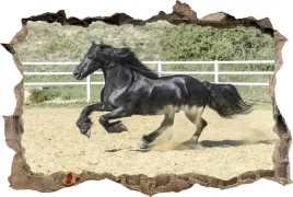 fototapeta-dziura-3d-naklejka-czarny-kon-galop