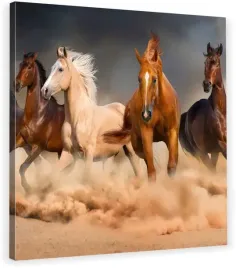 obraz-na-plotnie-stado-konie-70x70x2cm-hit