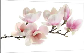 obraz-na-plotnie-kwiaty-magnolii-110x70-wybor-wz