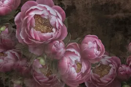 fototapeta-piwonie-liscie-peonie-salon-sypialnia