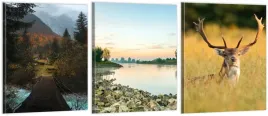 tryptyk-obrazy-180x80-na-sciane-las-jelen-jezioro