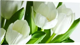 obraz-panorama-do-salonu-sypialni-tulipany-100x40