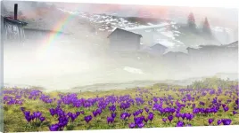 obraz-panorama-do-salonu-sypialni-krokusy-120x60