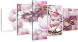 tryptyk-5-czesci-na-sciane-kwiaty-magnolii-980-wz