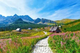 plakat-gory-tatry-hala-gasienicowa-90x60-wzory