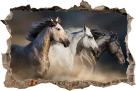fototapeta-dziura-3d-naklejka-na-sciane-rumak-kon